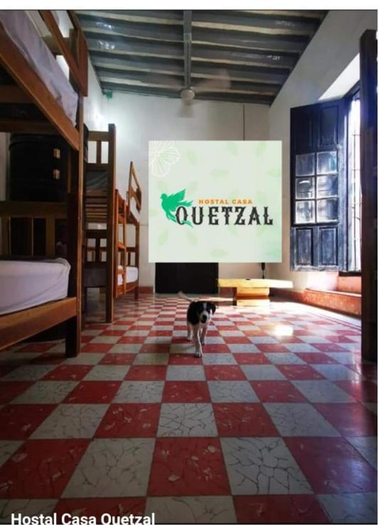 Hostel Casa Quetzal Campeche Exterior foto